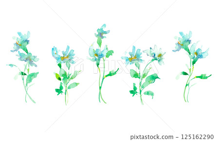 水彩畫。水彩矢量插圖。藍色花非洲菊插圖。帶有植物和花卉的向量框架。 125162290