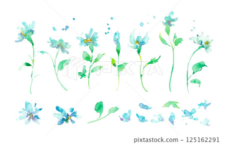 水彩畫。水彩矢量插圖。藍色花非洲菊插圖。帶有植物和花卉的向量框架。 125162291