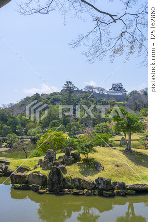 從美麗的玄宮園眺望彥根城天守閣 125162860