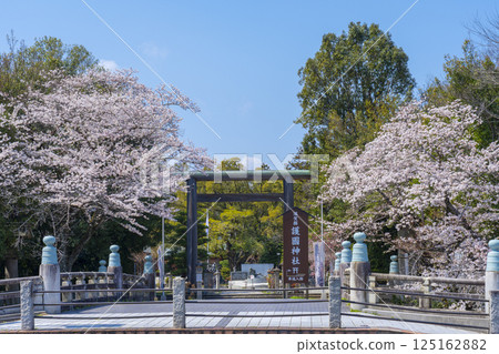 滋賀郡護國神社:參道旁雄偉的鳥居與盛開的櫻花 滋賀郡護國神社:參道旁雄偉的鳥居與盛開的櫻花 125162882
