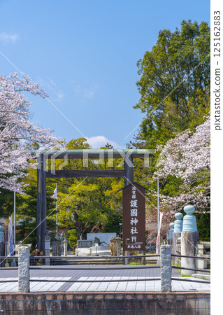 滋賀郡護國神社:參道旁雄偉的鳥居與盛開的櫻花 滋賀郡護國神社:參道旁雄偉的鳥居與盛開的櫻花 125162883