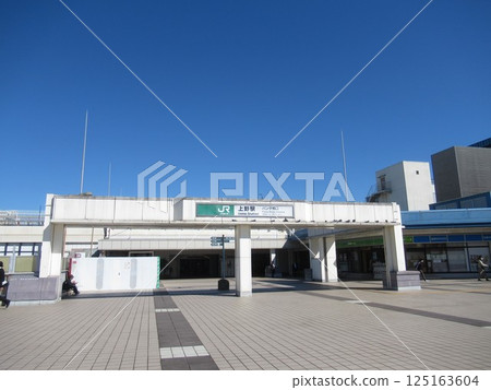 Near Ueno Station East-West Freedom Passage Near Ueno Station East-West Freedom Passage 125163604