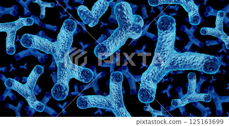 Bifidobacterium Probiotic Bacteria 125163699