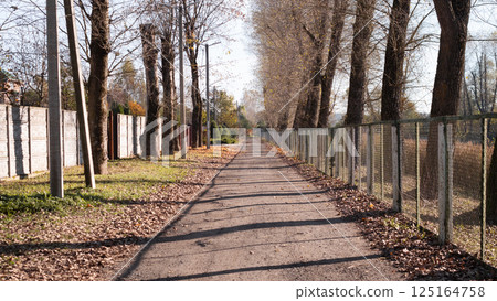 A tranquil and peaceful walkway lined with lush trees, providing the ideal space for outdoor activities and relaxation 125164758