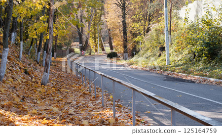 A breathtakingly picturesque scene of a winding road beautifully lined with rich autumn foliage and vibrant trees 125164759