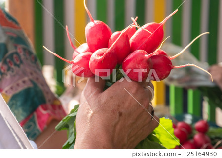 Bunch of Radishes at Farmers Market 125164930