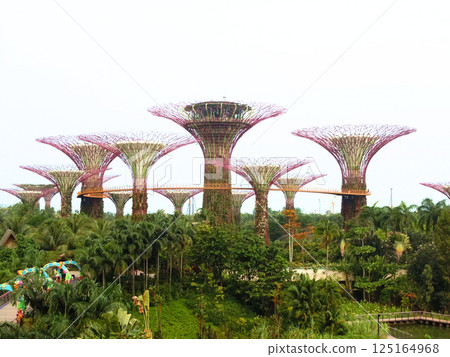 Gardens by the Bay (Singapore) Gardens by the Bay (Singapore) 125164968