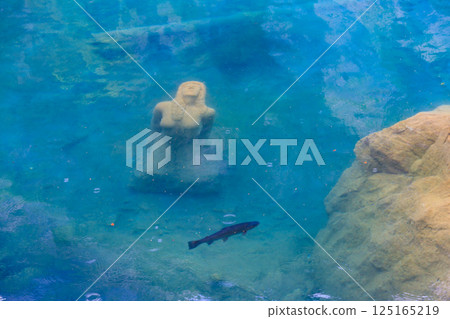 Underwater statue of young girl in Blausee lake (Blue Lake) in Bernese Oberland, Kandergrund, Switzerland Underwater statue of young girl in Blausee lake (Blue Lake) in Bernese Oberland, Kandergrund, Switzerland 125165219