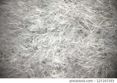 Detailed Microscopic View of Fabric Under a Microscope.Close-up view of fabric fibers under a microscope, revealing intricate texture and structural complexity. 125165383