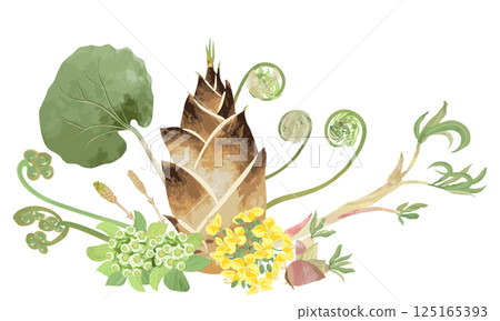 一組用水彩粗略繪製的春季野生植物 125165393