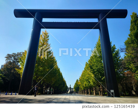 Yasukuni Shrine's large torii gate and blue sky 125165439
