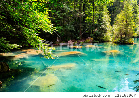 Blausee lake or Blue Lake in Bernese Oberland, Kandergrund, Switzerland Blausee lake or Blue Lake in Bernese Oberland, Kandergrund, Switzerland 125165967