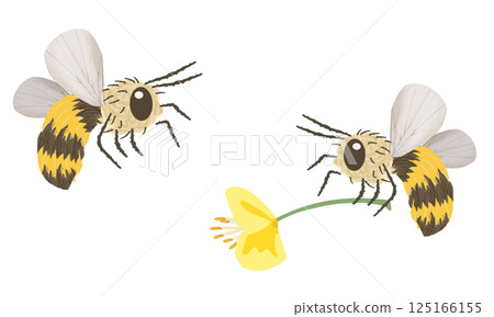 bee, honeybee, insect, bee, honey, fly, wings, antennae, sting, creature, striped, spring, 125166155