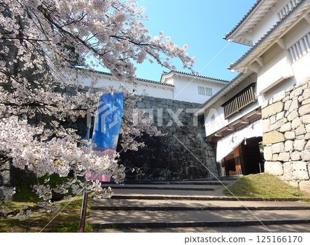 國家歷史遺址二本松城和霞城公園的春天百花盛開 125166170