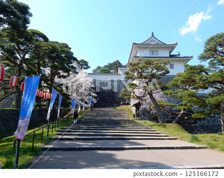 國家歷史遺址二本松城和霞城公園的春天百花盛開 國家歷史遺址二本松城和霞城公園的春天百花盛開 125166172