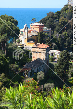 Portofino, Italy - 07 April 2025. Tourism in Italy. Traditional buildings, church, plant and trees in bay of Liguria. Background for design. 125166726