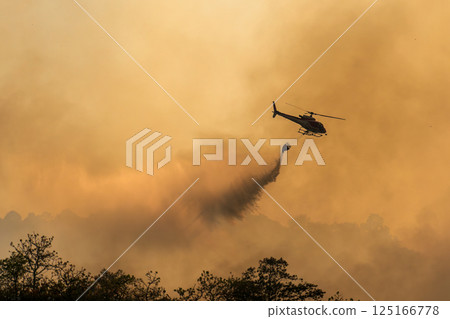 Fire fighting helicopter carry water bucket to extinguish the forest fire. 125166778