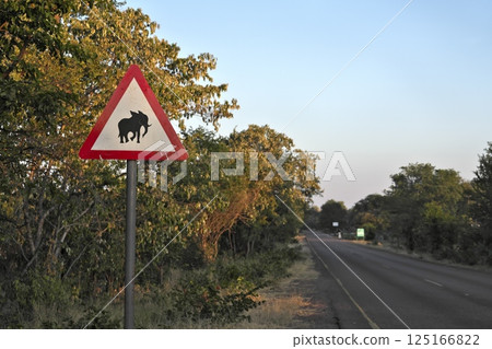 維多利亞瀑布路上的大像走道標誌 125166822