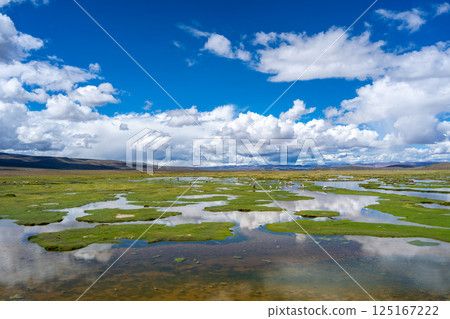 Alpacas and llamas grazing near wetlands in the highlands of Peru Alpacas and llamas grazing near wetlands in the highlands of Peru 125167222