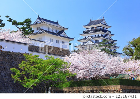 【廣島縣】晴天的福山城與盛開的櫻花（天守閣·月見塔） 125167431