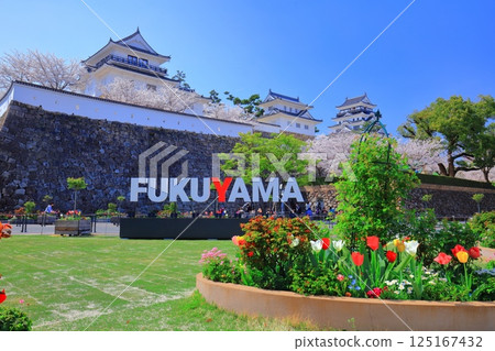【廣島縣】晴天的福山城與盛開的櫻花(天守閣·月見塔) 【廣島縣】晴天的福山城與盛開的櫻花(天守閣·月見塔) 125167432