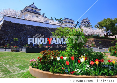 【廣島縣】晴天的福山城與盛開的櫻花（天守閣·月見塔） 125167433