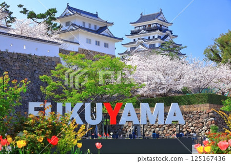 [Hiroshima Prefecture] Fukuyama Castle on a clear day and cherry blossoms in full bloom (Castle Tower Tsukimi Tower) 125167436