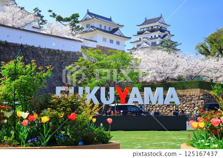 [Hiroshima Prefecture] Fukuyama Castle on a clear day and cherry blossoms in full bloom (Castle Tower Tsukimi Tower) 125167437