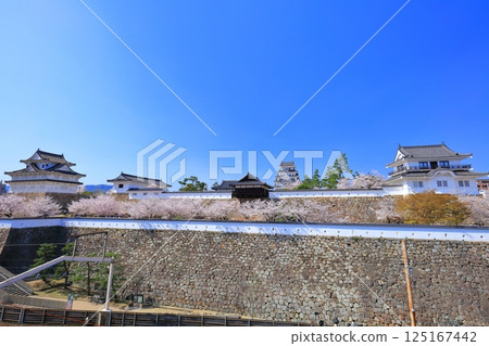 [Hiroshima Prefecture] Fukuyama Castle on a clear day and cherry blossoms in full bloom (Castle tower, Tsukimi Tower, Goyudono, Fushimi Tower, Sujitetsu Gomon) 125167442