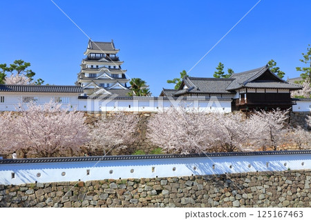 [Hiroshima Prefecture] Fukuyama Castle on a clear day and cherry blossoms in full bloom (Castle Tower, Oyudono) 125167463