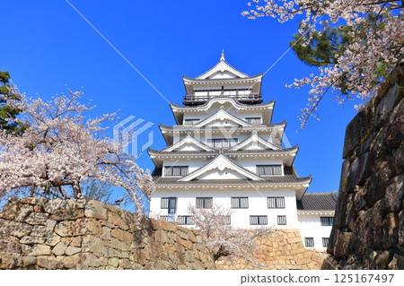 【廣島縣】晴天的福山城與盛開的櫻花 125167497