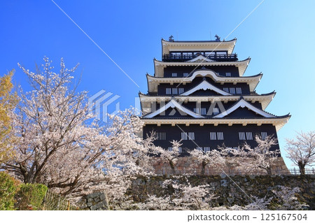 【廣島縣】晴天的福山城與盛開的櫻花 125167504