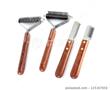 dog trimming equipment dog trimming equipment 125167858