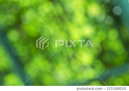 Green Spring Early Summer April Out-of-focus Bokeh Vivid Background Material Green Spring Early Summer April Out-of-focus Bokeh Vivid Background Material 125168028