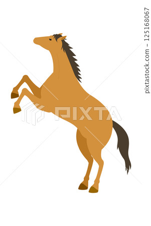 一匹馬站立的簡單向量插圖 125168067