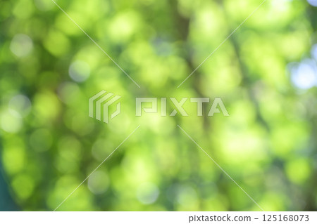 Green Spring Early Summer April Out-of-focus Bokeh Vivid Background Material Green Spring Early Summer April Out-of-focus Bokeh Vivid Background Material 125168073