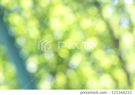 綠色春天初夏四月失焦散景生動的背景資料 125168253