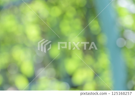Green Spring Early Summer April Out-of-focus Bokeh Vivid Background Material Green Spring Early Summer April Out-of-focus Bokeh Vivid Background Material 125168257