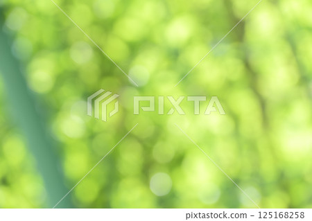 Green Spring Early Summer April Out-of-focus Bokeh Vivid Background Material 125168258