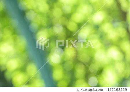 Green Spring Early Summer April Out-of-focus Bokeh Vivid Background Material Green Spring Early Summer April Out-of-focus Bokeh Vivid Background Material 125168259