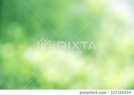 Green, spring, early summer, April, sunlight filtering through the trees, out-of-focus, bokeh, vivid, background material Green, spring, early summer, April, sunlight filtering through the trees, out-of-focus, bokeh, vivid, background material 125168454