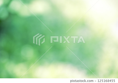 Green, spring, early summer, April, sunlight filtering through the trees, out-of-focus, bokeh, vivid, background material 125168455