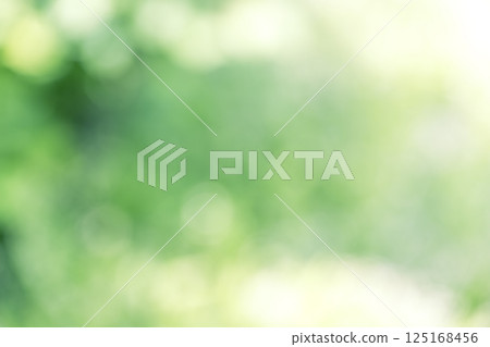 Green, spring, early summer, April, sunlight filtering through the trees, out-of-focus, bokeh, vivid, background material 125168456