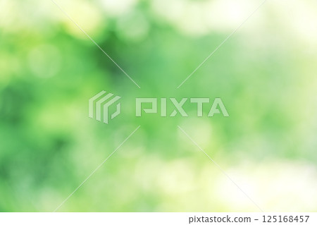 Green, spring, early summer, April, sunlight filtering through the trees, out-of-focus, bokeh, vivid, background material 125168457