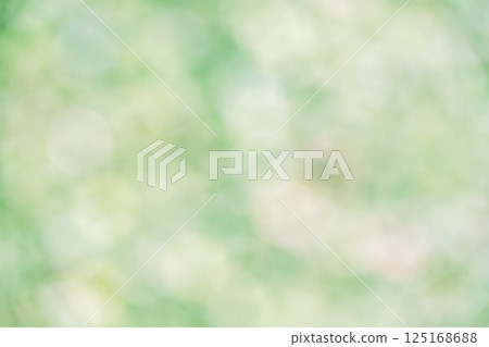 Green, Pale, April, Spring, Sunlight filtering through the trees, Nature, Out-of-focus, Green, Single color Green, Pale, April, Spring, Sunlight filtering through the trees, Nature, Out-of-focus, Green, Single color 125168688