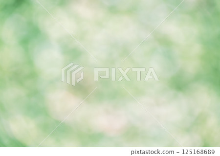 Green, Pale, April, Spring, Sunlight filtering through the trees, Nature, Out-of-focus, Green, Single color Green, Pale, April, Spring, Sunlight filtering through the trees, Nature, Out-of-focus, Green, Single color 125168689