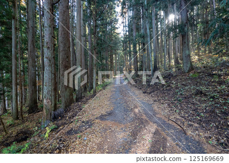 The historic old road "Salt Road" and its surrounding areas The historic old road "Salt Road" and its surrounding areas 125169669