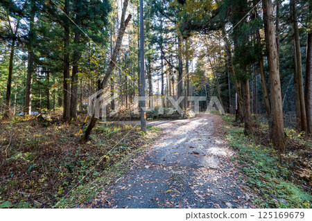 The historic old road "Salt Road" and its surrounding areas 125169679