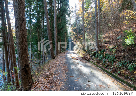 The historic old road "Salt Road" and its surrounding areas 125169687