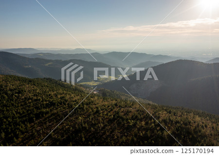 Drone shot with the Black Forest vast pine woodland at sunset 125170194